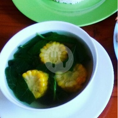 Sayur Kelor